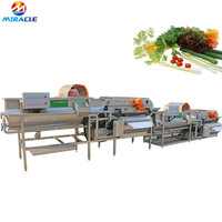 Laveuse automatique à vortex pour fruits (pommes, poires, tomates) – Ligne de nettoyage