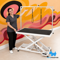 Table de toilettage électrique professionnelle pour chiens, robuste, hauteur réglable, plateau en acier inoxydable remplaçable, équipement de salon pour animaux de compagnie