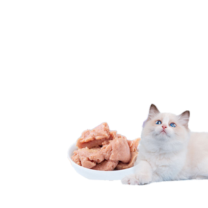 Snacks Orgánicos y Saludables para Mascotas, en Bolsitas Pequeñas, con Sabor a Carne de Res, para Gatos y Perros - Product Image 4