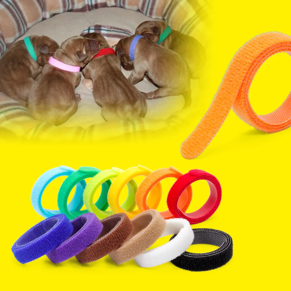 Wholesale 12 Colors Identity Recognition Dog ID Collar Soft Pet Puppy ID Collar Cat Kitten Paste Bands Collar