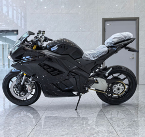 Moto électrique de loisirs 72V de haute qualité Loyal avec amortisseurs - Product Image 2