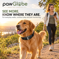 Collier GPS multifonctionnel pour animaux de compagnie avec caméra pour l'entraînement et le suivi des chiens, OEM ODM, étiquette privée, vente en gros et au détail PawGlobe
