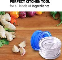 Presse-ail pratique, râpe, trancheuse, boîte à ail transparente en PP de qualité alimentaire, éplucheur, hachoir, presse-gingembre, accessoires de cuisine