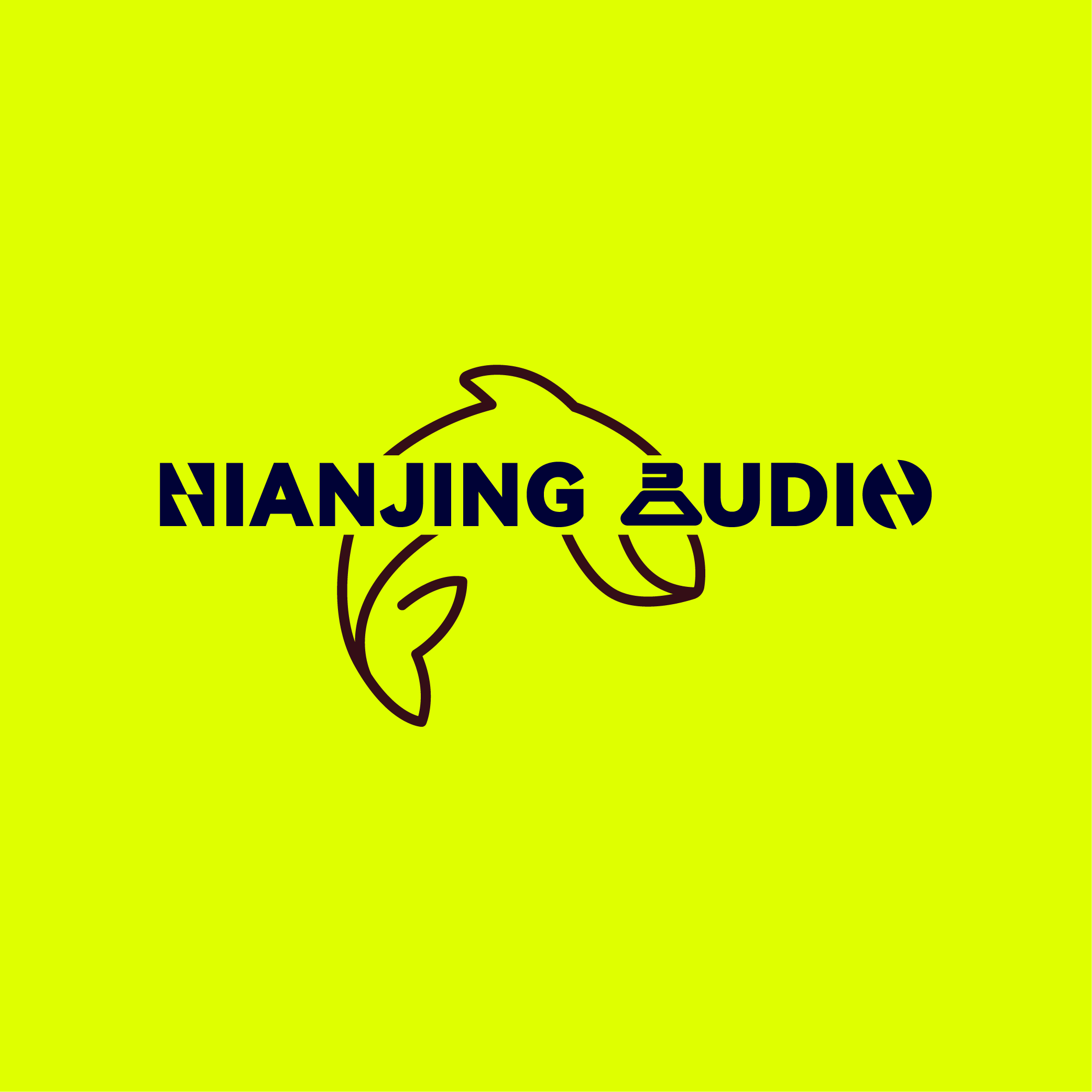 Xinning County Nian Jing Electronics Co., Ltd.