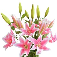 Künstliche Blumen 4-Köpfige Kabu-Lilie Dekorative Blume Wohnzimmer Tischdekoration Büro Verschönerung