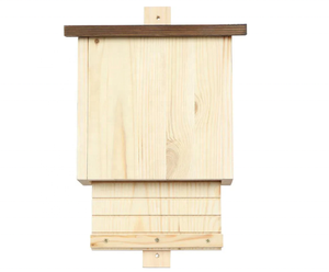 <span class=keywords><strong>Bat</strong></span> <span class=keywords><strong>cave</strong></span> chauve-souris boîte chauve-souris maison - Product Image 1