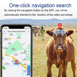 Traceur d'oreille GPS solaire pour bétail, bovins, moutons, chevaux, chameaux avec alarme <span class=keywords><strong>de</strong></span> batterie faible <span class=keywords><strong>à</strong></span> <span class=keywords><strong>vendre</strong></span> - Product Image 6
