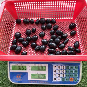 バルクブラックトルマリンタンブルナチュラルレイキストーンイエローファイアクォーツヘマトイドタンブルストーン治癒用 - Product Image 5