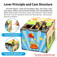Jouet éducatif scientifique pour enfants, expérience créative et amusante, bricolage manuel, jeu de tape-taupe en bois, certifié CE, non toxique, petite invention