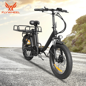 Vélo cargo électrique pour livraison, moteur roue arrière, frein à disque, pneu large 20*3.0 pouces, 48V 13Ah 750W de pointe, vélo cargo électrique - Product Image 6