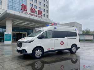 Ambulances personnalisées de qualité professionnelle avec soins de réanimation avancés et unité de soins intensifs pour le transport de patients critiques dans les centres médicaux - Product Image 5