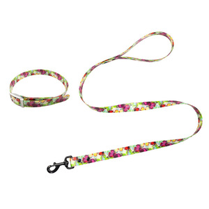 Collar/Correa de plástico impermeable de PVC, Correa reflectante recubierta de PVC, Correa/collar para perro recubiertos de TPU - Product Image 4