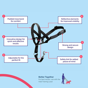 Bucle ajustable reflectante Anti-mordedura ladridos acolchado boca de perro bozal fácil Control Nylon mascotas Headcollar sin tirar bozal de perro - Product Image 2