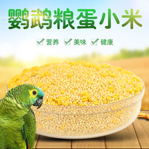 Alimentation pour oiseaux : Millet pour perroquets, perruches, calopsittes – Nutrition pour l'élevage – Céréales roulées 1200ml – Nourriture pour animaux de compagnie - Product Image 4