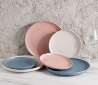 Ensemble d'assiettes en porcelaine mate écologiques en gros |   Assiettes à dîner de 10,5 pouces avec logo personnalisé, plusieurs couleurs pour restaurants et hôtels