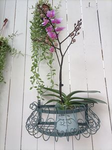 Vente directe usine de créations en fer forgé : Porte-fleurs semi-circulaires en fer forgé pour cour, produits pour la maison et le jardin - Product Image 3