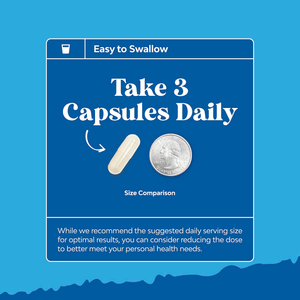 Kapsul OEM Meningkatkan Kualitas Sperma, Motilitas, Keseimbangan Hormon, Mendukung Kesuburan Pria dengan Maca - Product Image 6