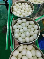 Œufs de caille congelés prêts à consommer, saveur nature, sans sel, faible teneur en sodium, conditionnés sous vide, aliments pour l'éclosion des œufs, durée de conservation de 12 jours
