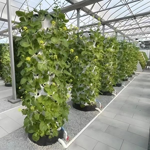 Meilleure vente grande tour de plantation <span class=keywords><strong>aéroponique</strong></span> d'ananas <span class=keywords><strong>système</strong></span> de jardin vertical hydroponique 170x67cm PVC de qualité alimentaire pour les jardins domestiques - Product Image 2