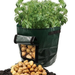 Maceta <span class=keywords><strong>para</strong></span> jardinería, bolsa transpirable <span class=keywords><strong>para</strong></span> <span class=keywords><strong>cultivo</strong></span> <span class=keywords><strong>de</strong></span> verduras y patatas, bolsas <span class=keywords><strong>para</strong></span> setas y frutas - Product Image 2