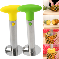 Eenvoudig Keukengereedschap Roestvrijstalen Fruit Ananas Dunschiller Corer Snijder