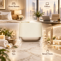 Diffuseur de parfum intelligent sans eau DANQ, à brancher sur prise murale ou bureau, pour hôtel, bureau, spa, commerce de détail, marque privée, OEM, ODM