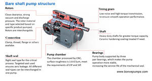 Pompe à lobes rotative en acier inoxydable de qualité alimentaire avec entrée rectangulaire pour la <span class=keywords><strong>viande</strong></span> <span class=keywords><strong>hachée</strong></span>, les tartes, la purée de <span class=keywords><strong>champignons</strong></span>, pompe de transfert - Product Image 5