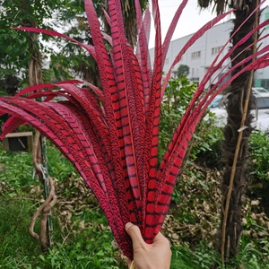 Plumas Artificiales <span class=keywords><strong>de</strong></span> Faisán Lady Amherst <span class=keywords><strong>de</strong></span> 80 cm <span class=keywords><strong>de</strong></span> Largo en Oferta, para Carnaval, Tocados <span class=keywords><strong>de</strong></span> Samba, Decoración <span class=keywords><strong>de</strong></span> Mochilas - Product Image 3
