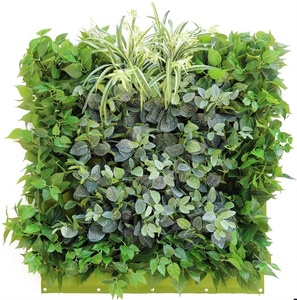 EVOLOVE <span class=keywords><strong>jardin</strong></span> extérieur/intérieur jardinière verticale artificielle <span class=keywords><strong>jardin</strong></span> vertical - Product Image 1