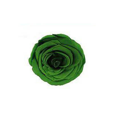 Vert foncé