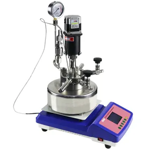 Laboratory Reactor High Temperature 200ml Hydrothermal Synthesis Stainless Steel Reactor Lab High Temperature And High Pressure Autoclave