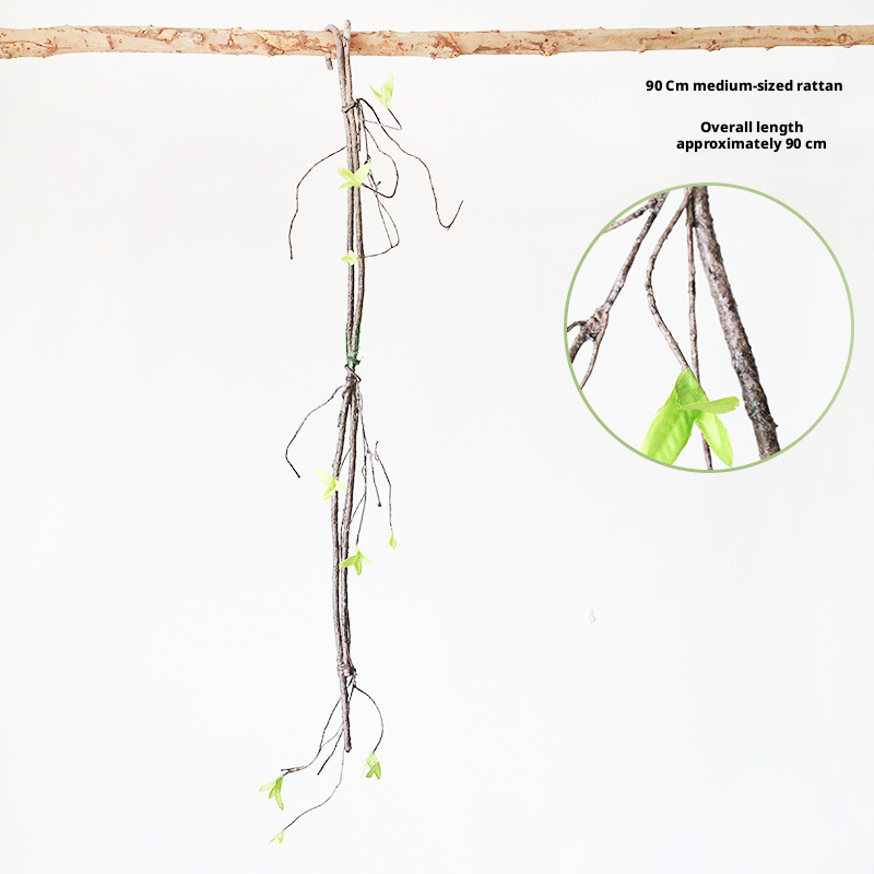 3#  90Cm medium Fern
