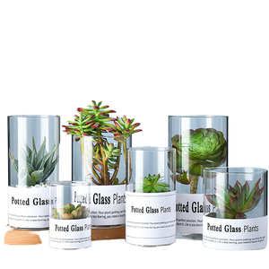 <span class=keywords><strong>Vase</strong></span> à fleurs moderne, <span class=keywords><strong>grand</strong></span>, simple, <span class=keywords><strong>cylindrique</strong></span>, <span class=keywords><strong>en</strong></span> <span class=keywords><strong>verre</strong></span> <span class=keywords><strong>transparent</strong></span> écologique, pour plantes vivantes et décorations de mariage - Product Image 1