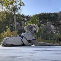 Veste pour chien et chat grande taille personnalisée VPETBR, luxe moderne, printemps été, imperméable, coupe-vent, fibre réfléchissante, manteau pour animaux de compagnie d'extérieur