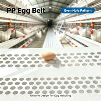 Bande transporteuse anti-déchirure en PP sur mesure pour la collecte des œufs, pour système de cages automatiques pour poules pondeuses en poulailler