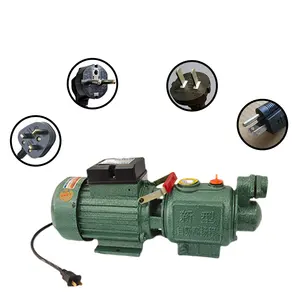 家用220V螺杆自吸泵，高扬程自动增压泵，大流量高压自来水泵