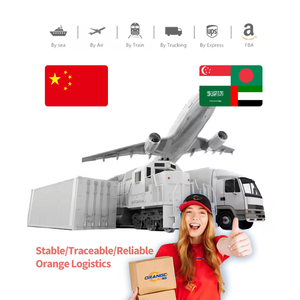 Transporte de carga de China a Singapur Bangladesh Arabia Saudita UAE Envío LCL + Express Dropshipping Logística internacional Ddp - Product Image 1
