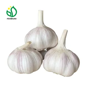 Order China New Crop Fresh Summer Garlic Normal White Garlic dry enough, Fresh, Juice, Hot!!! High Quality!!
