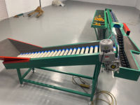 Commerciële Mango Sorteermachine, Oranje- en Citroensorteermachine, 10 gradaties fruit sorteermachine