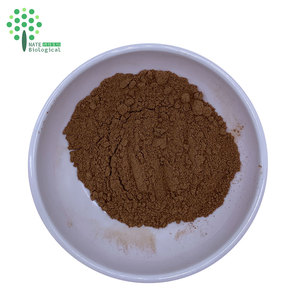 Suplemento para la Salud, Extracto de Hongo <span class=keywords><strong>Armillaria</strong></span> <span class=keywords><strong>Mellea</strong></span>, Extracción por Solvente, Polvo Puro, Empaquetado en Tambor - Product Image 1