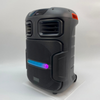 Enceinte portable PA avec woofer 12 pouces, chariot, karaoké, Bluetooth/USB/FM/TWS, micro sans fil et télécommande, LED rechargeable