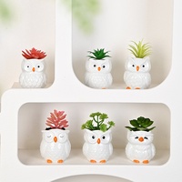 Pot de fleurs en céramique créatif pour plantes succulentes, motif hibou peint à la main, style européen, pour le jardinage domestique et le commerce transfrontalier.
