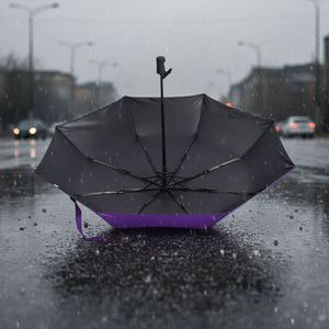 Sombrilla Solar Plegable Grande, Económica y Personalizable, con Estilo Moderno y Tamaño Seleccionable, para la Lluvia - Product Image 4