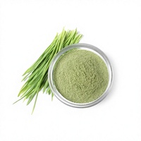 Biologisch tarwegraspoeder bulk natuurlijk groen superfood poeder voor smoothies functionele dranken en voedingssupplementen OEM ODM