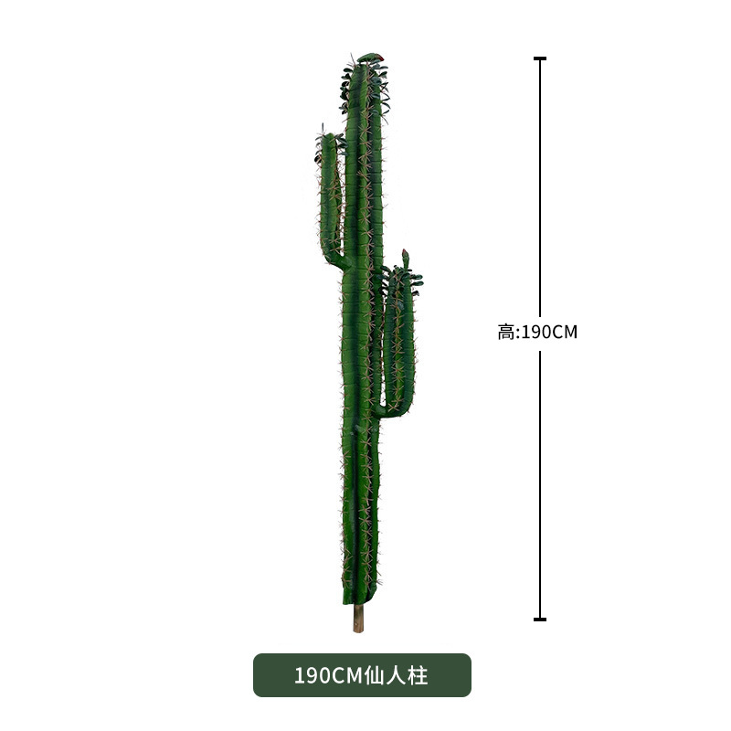 Plante succulente 190cm (sans base noire)