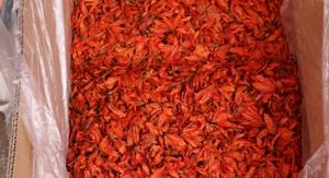 Bunga lili kering alami Tiongkok, teh Herbal bunga lili teh Makanan kelas longgar bunga lili kering baik untuk tidur dan kecantikan - Product Image 5