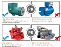 Alternateur à brosse 10KW 15KW 20KW 30KW 40KW 50KW Dynamo électrique Ac alternateur tout cuivre avec AVR