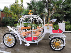 Chariot de tourisme électrique en forme de citrouille à faible consommation d'énergie, fourni directement par l'usine - Product Image 3
