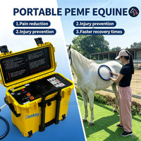 Appareil PEMF équin portable, plusieurs applicateurs, équipement de thérapie équine pour les soins vétérinaires et équins