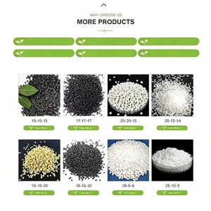 Fertilizante Compuesto NPK a Base de Cloro, de Liberación Controlada, Granular, 99% de Pureza, para Vegetales - Product Image 2